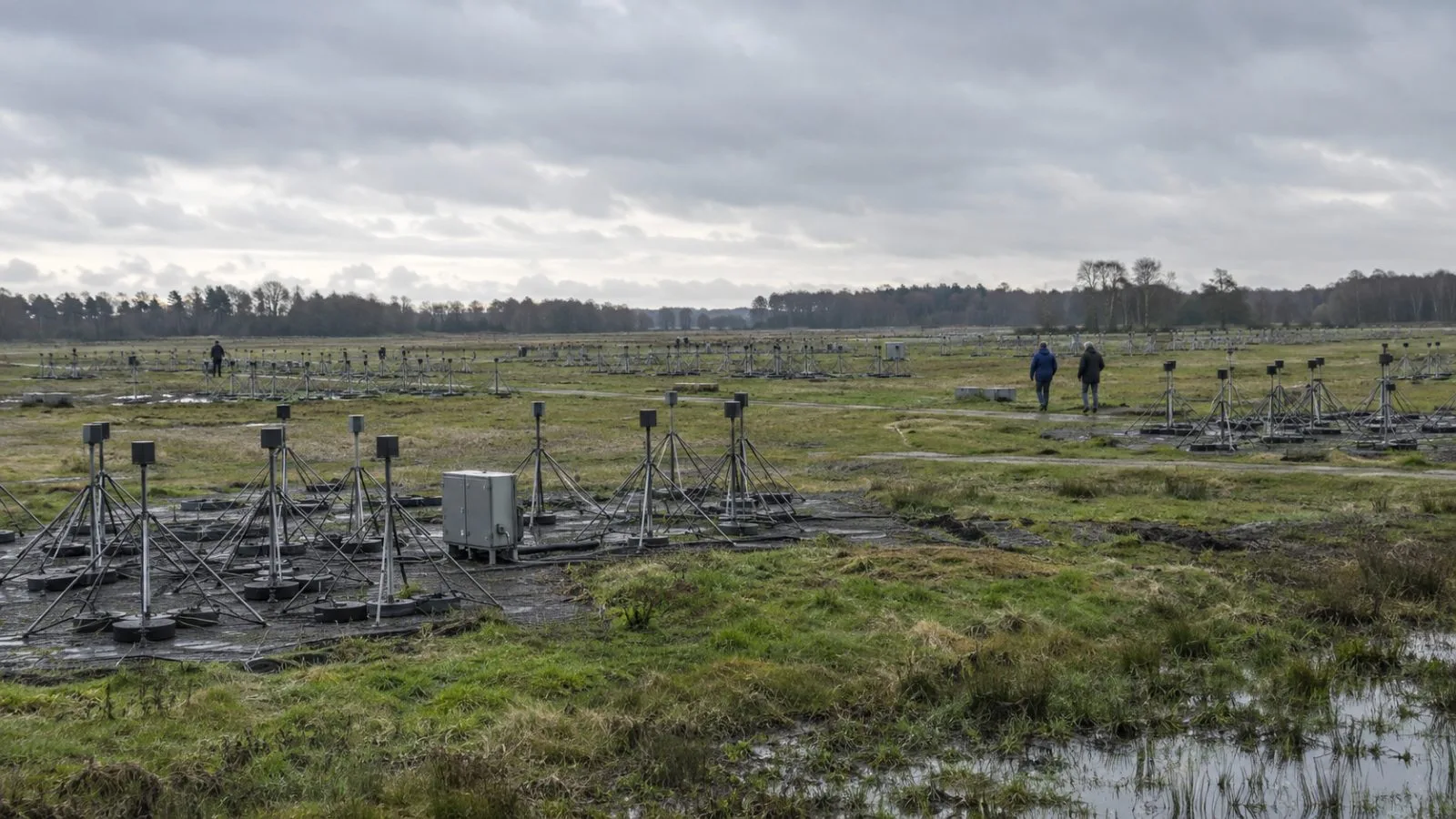 Low-frequency radio antennas stand across the LOFAR array near Exloo, Netherlands (AI-generated image / EconoTimes)