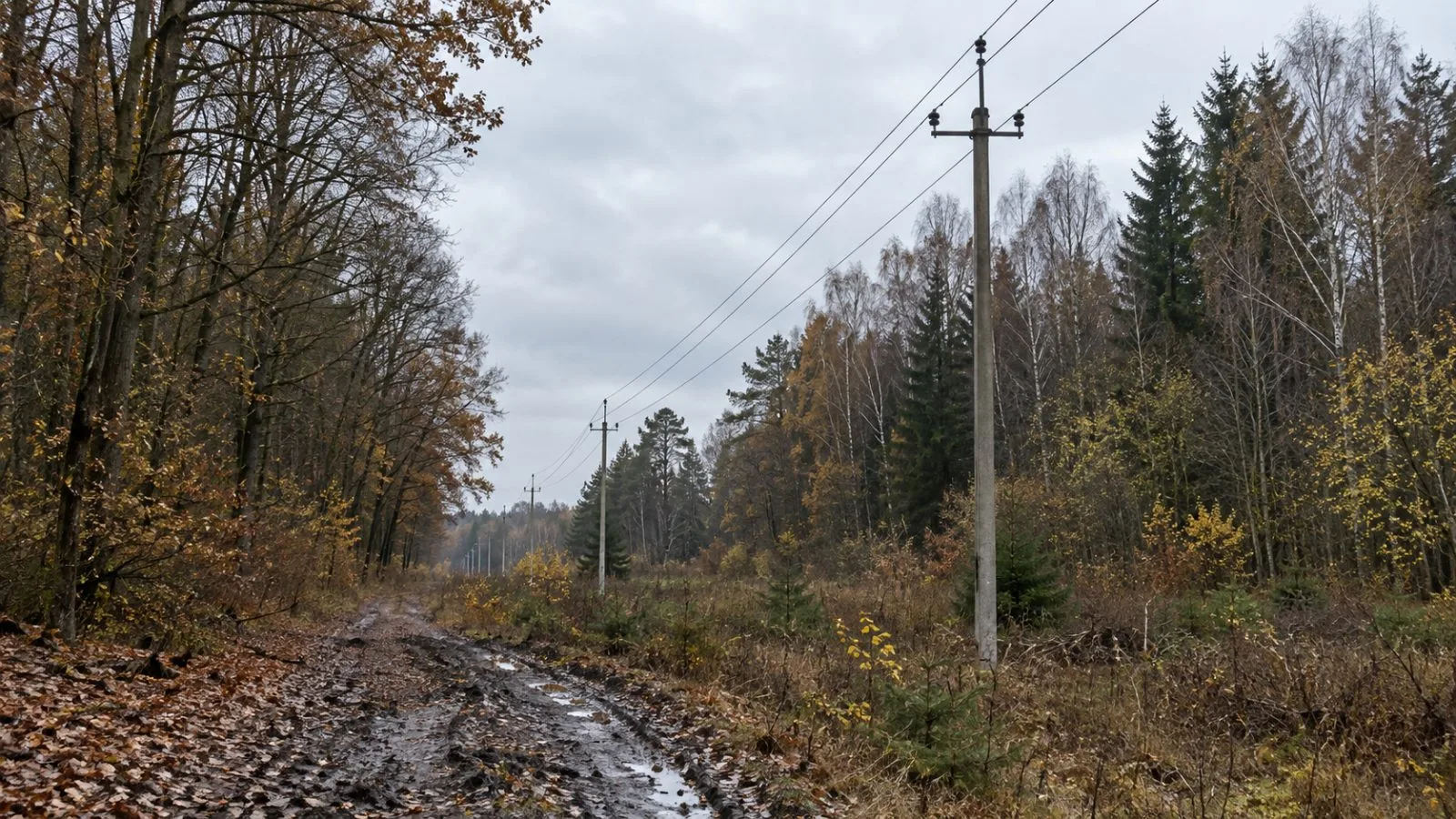 An overhead distribution line runs through autumn woodland on the outskirts of Vilnius, Lithuania. (AI-generated image / EconoTimes)