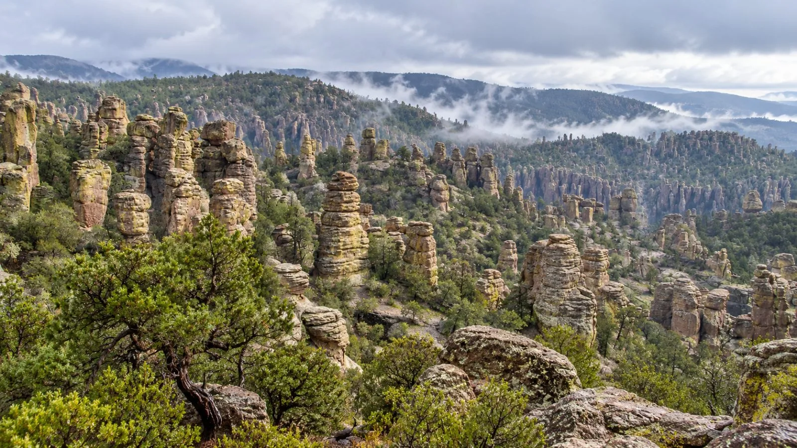Rhyolite pinnacles rise above a trail at Chiricahua National Monument near Willcox, Arizona. / EconoTimes.ai