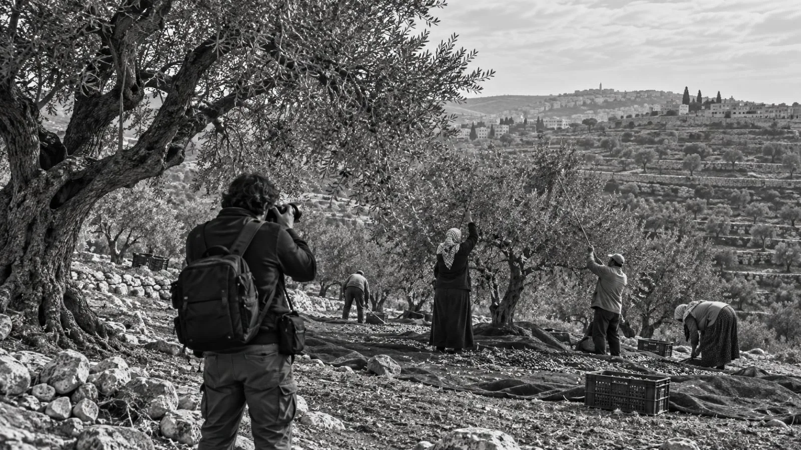 A photojournalist documents workers gathering olives in a grove near Ramallah in the West Bank (AI-generated image / EconoTimes)