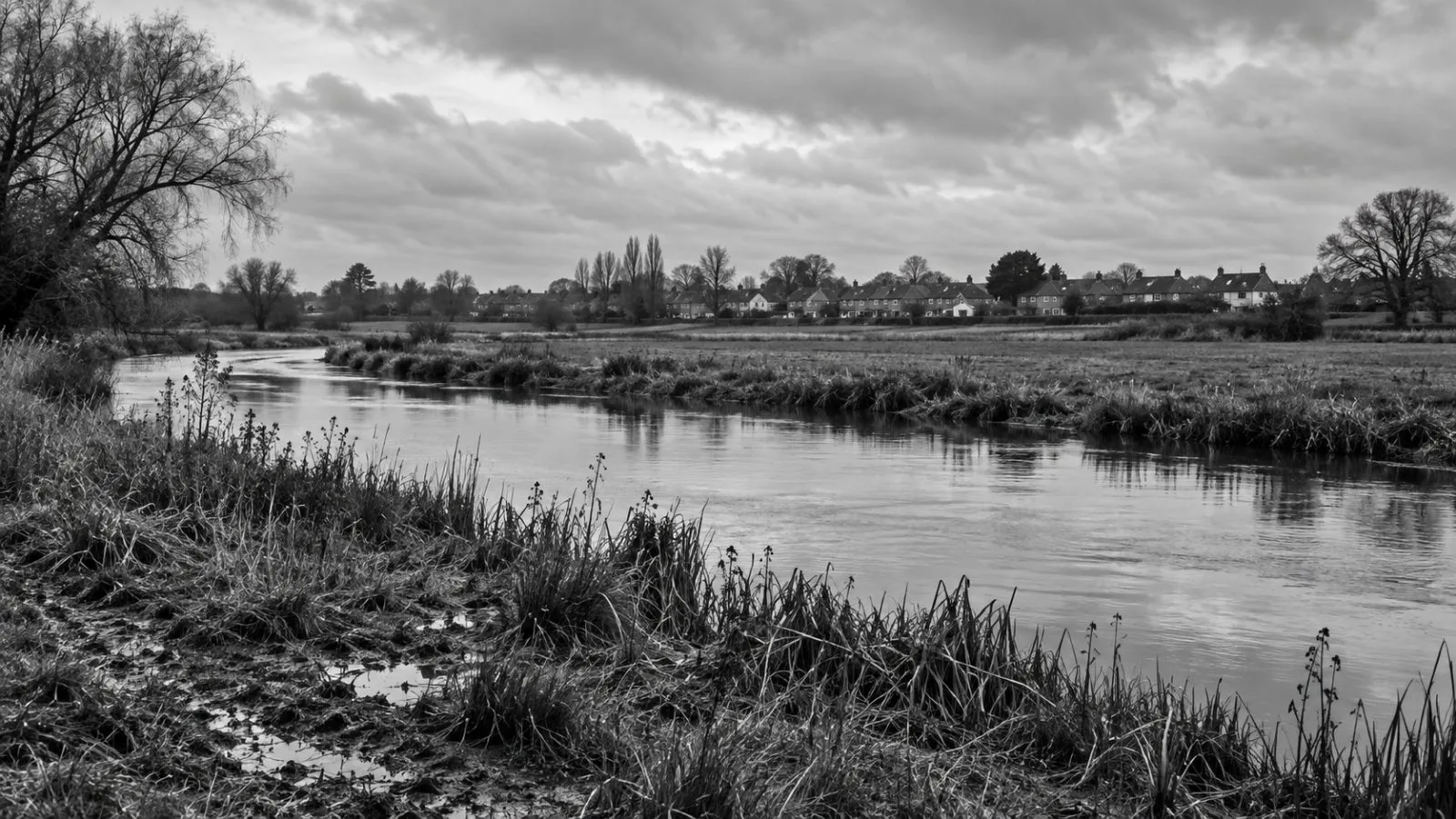 Wet grassland and a river run beside homes near Norwich, Norfolk, England. (AI-generated image / EconoTimes)