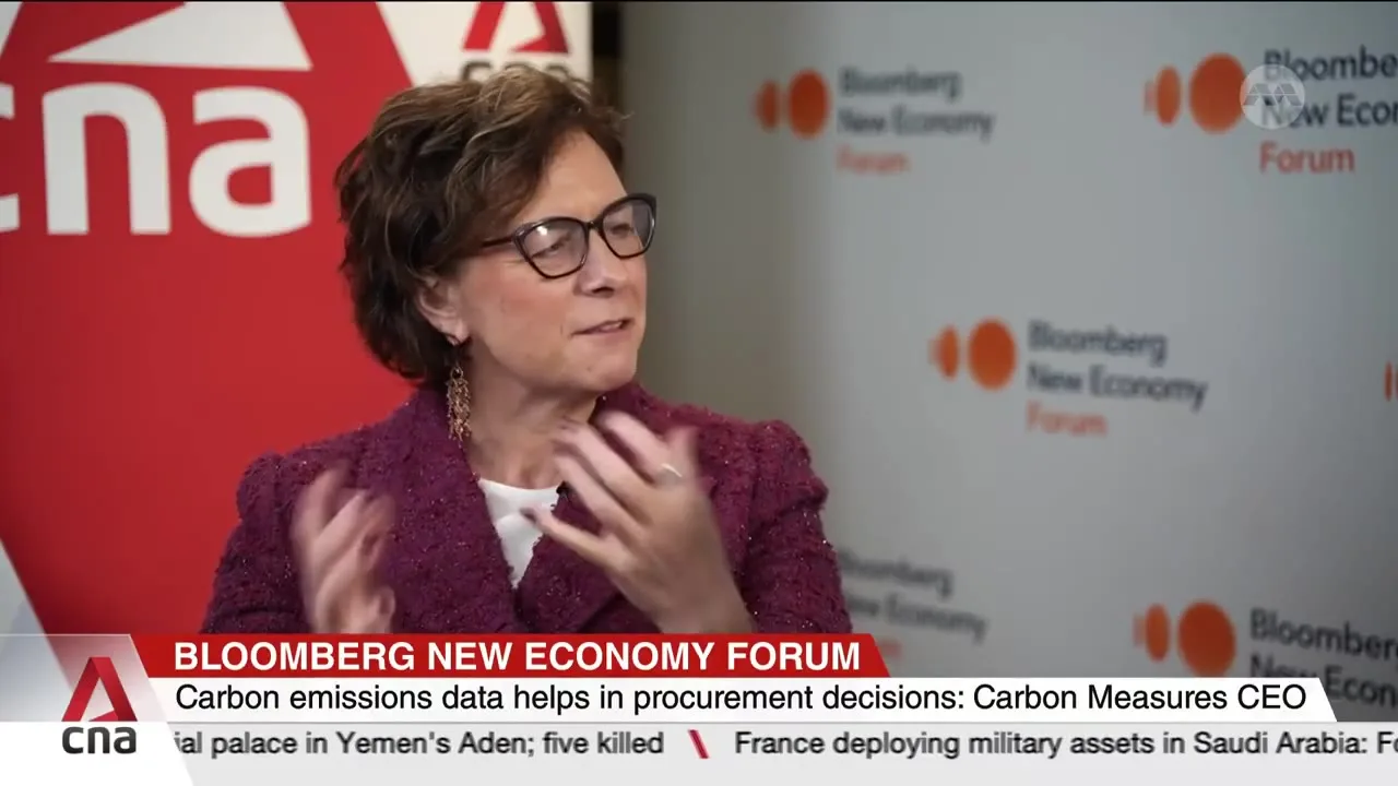 The chief executive of Carbon Measures speaks on product-level emissions reporting at the Bloomberg New Economy Forum. (Screen grab: CNA)