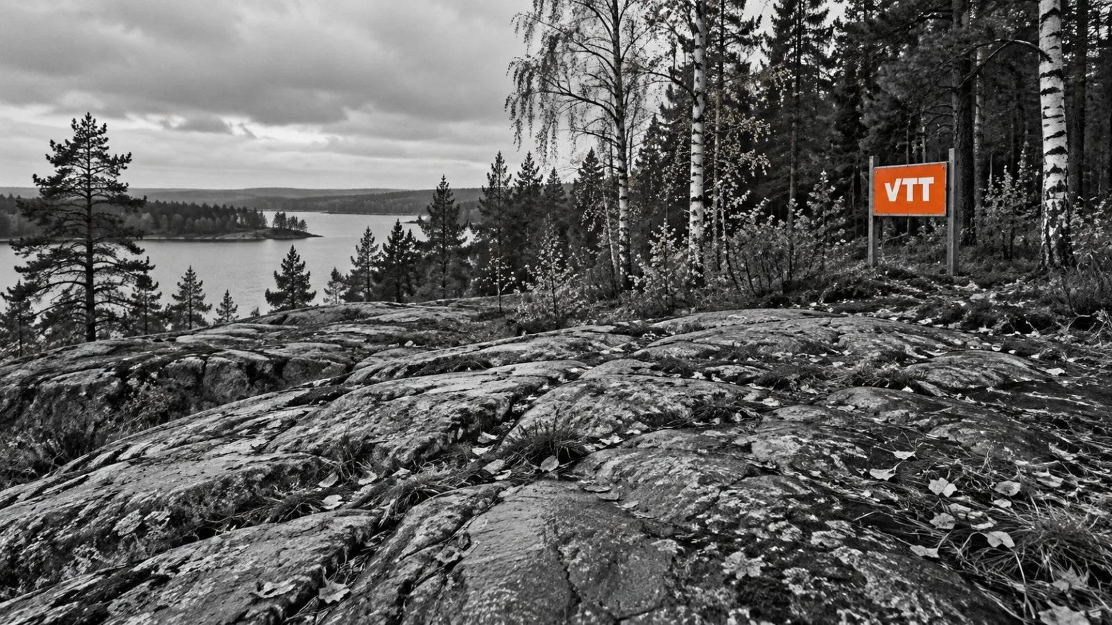 Exposed bedrock stretches across a wooded landscape near Oulu, Finland. / EconoTimes.ai