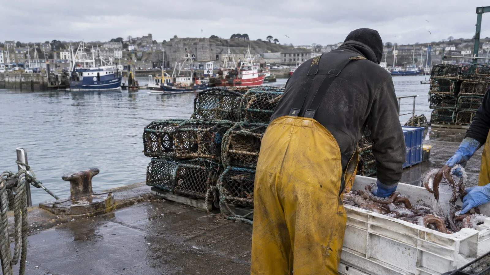 A crate of octopus sits beside shellfish pots on a wet quay in Plymouth, England. (AI-generated image / EconoTimes)