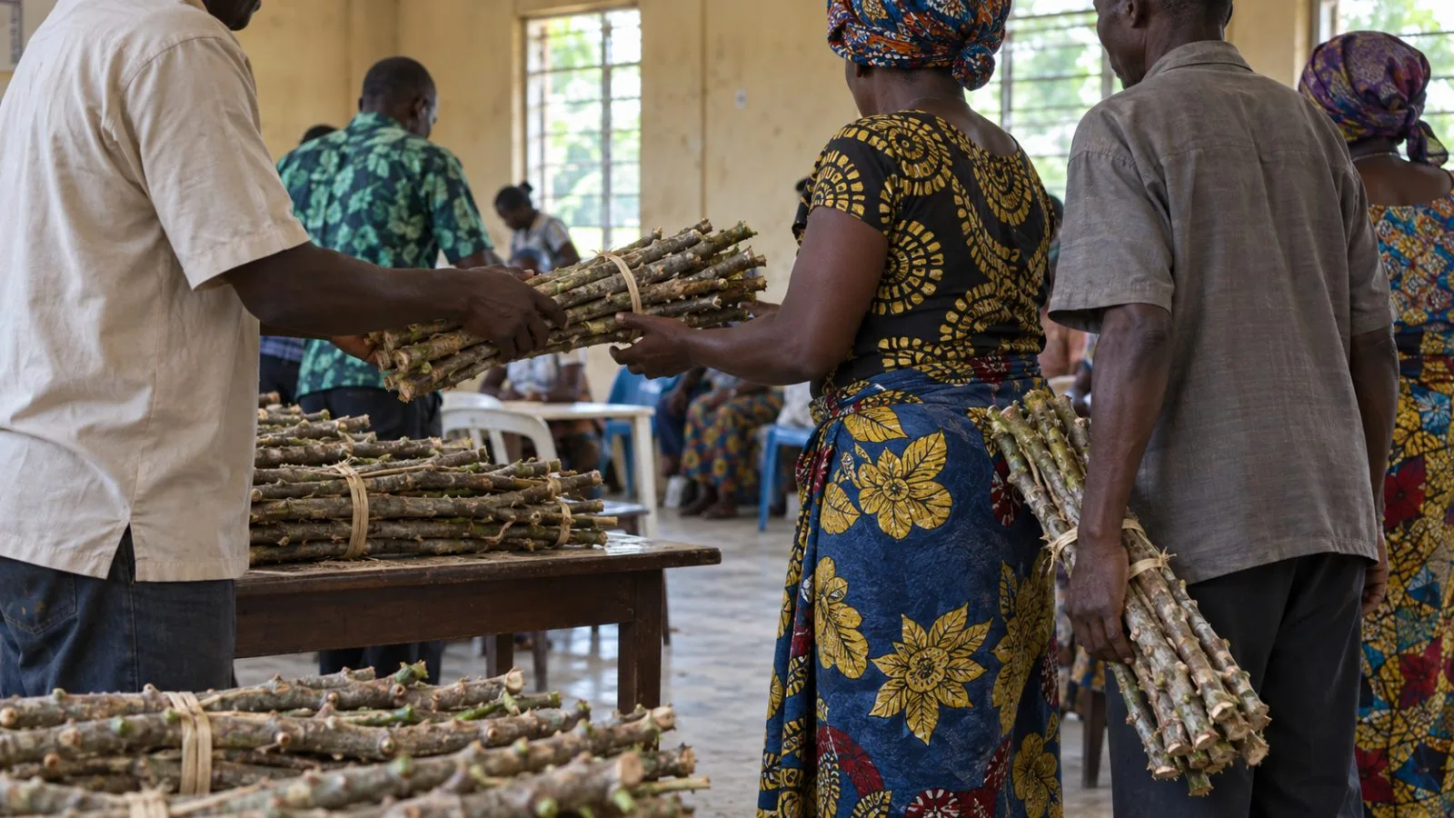 Farmers receive cassava planting stems during a forum in Yenagoa, Bayelsa State, Nigeria / EconoTimes.ai