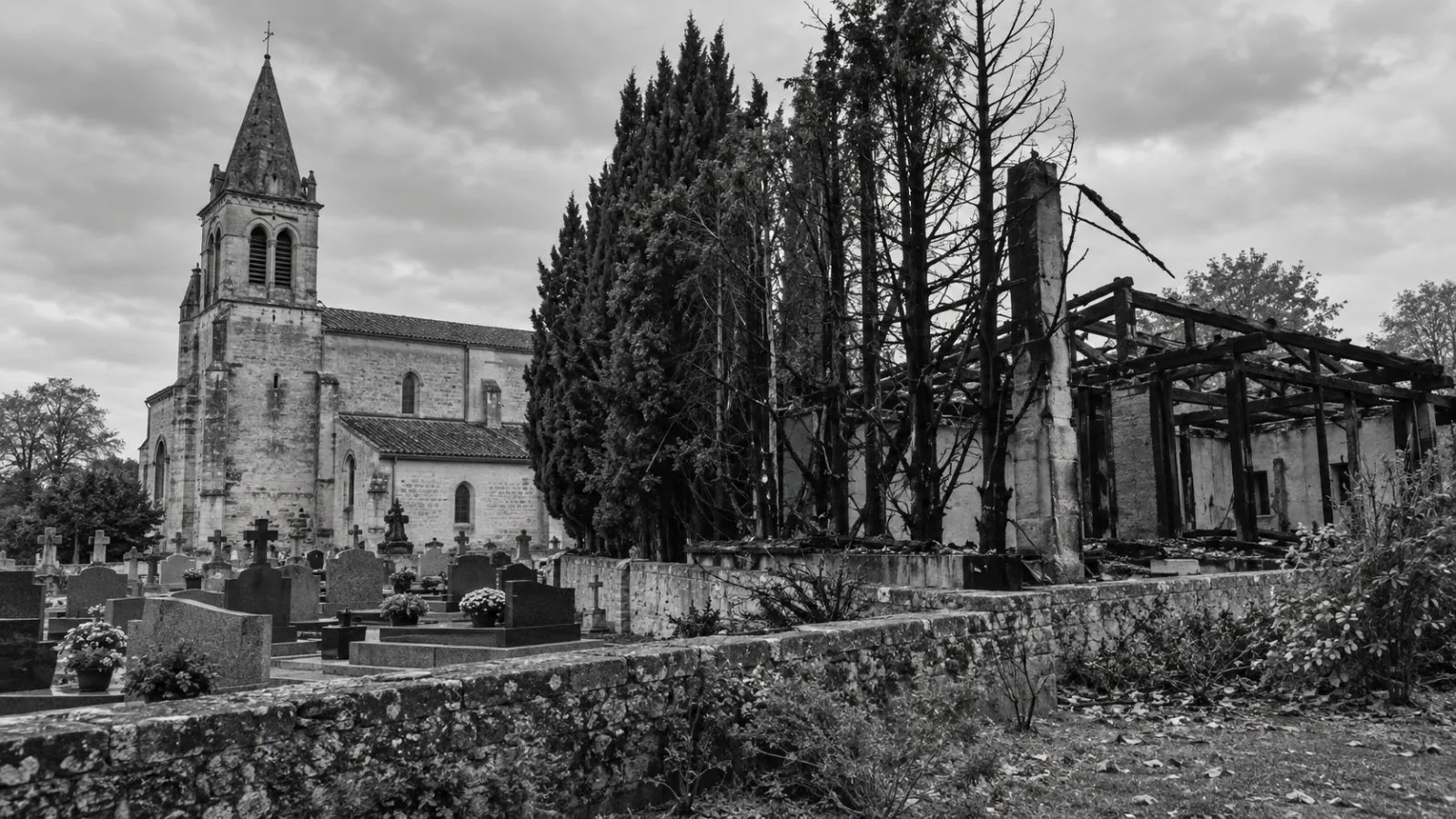 A fire-damaged conifer row stands beside Saint-Médard church in Fenouillet, France. (AI-generated image / EconoTimes)