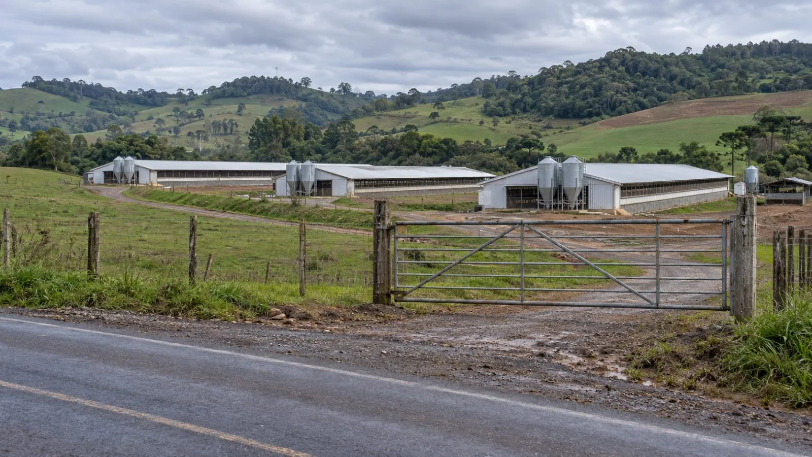 Poultry sheds stand behind a farm gate in Nova Itaberaba, Brazil. (AI-generated image / EconoTimes)