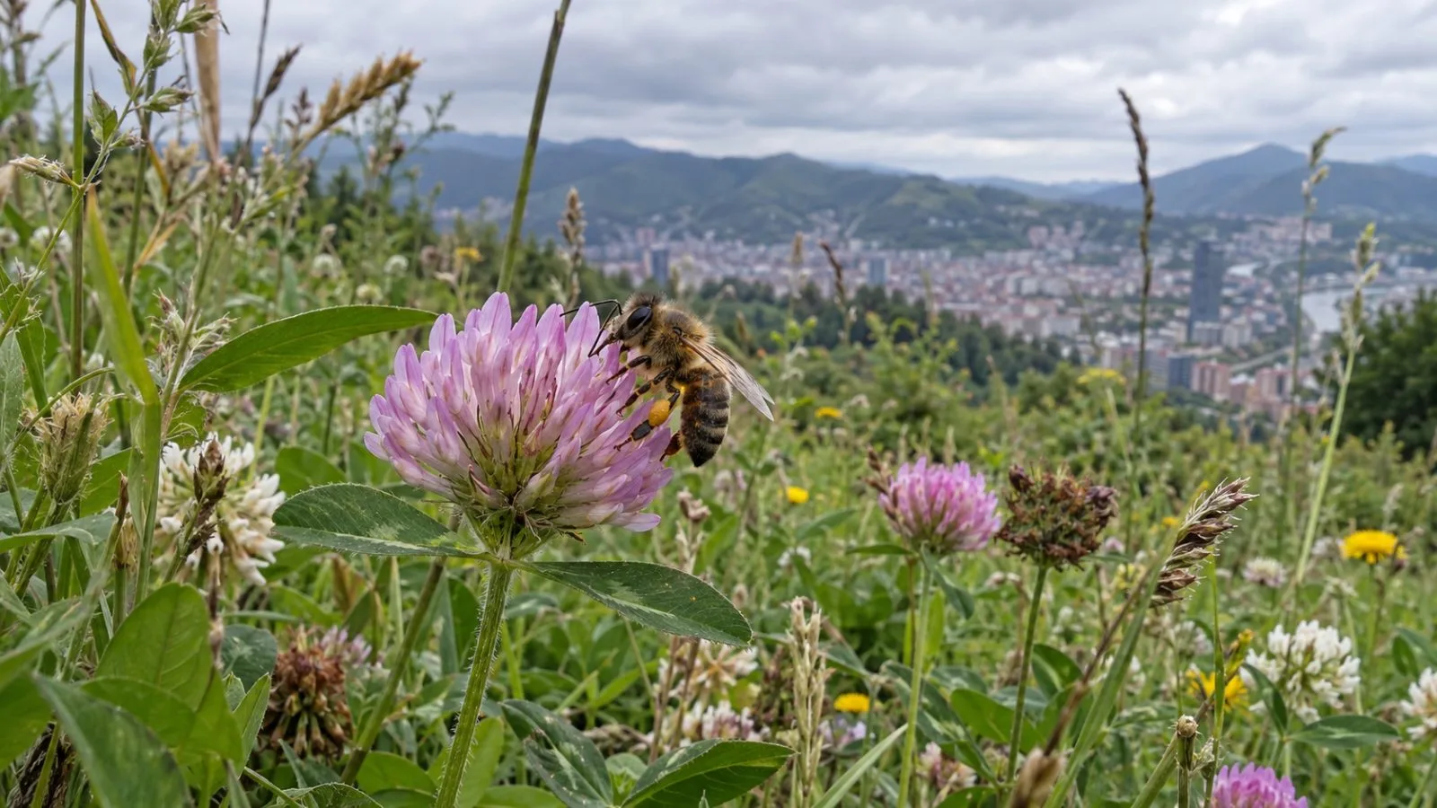 A wild bee visits a flower in a meadow in Bilbao, Spain. (AI-generated image / EconoTimes)