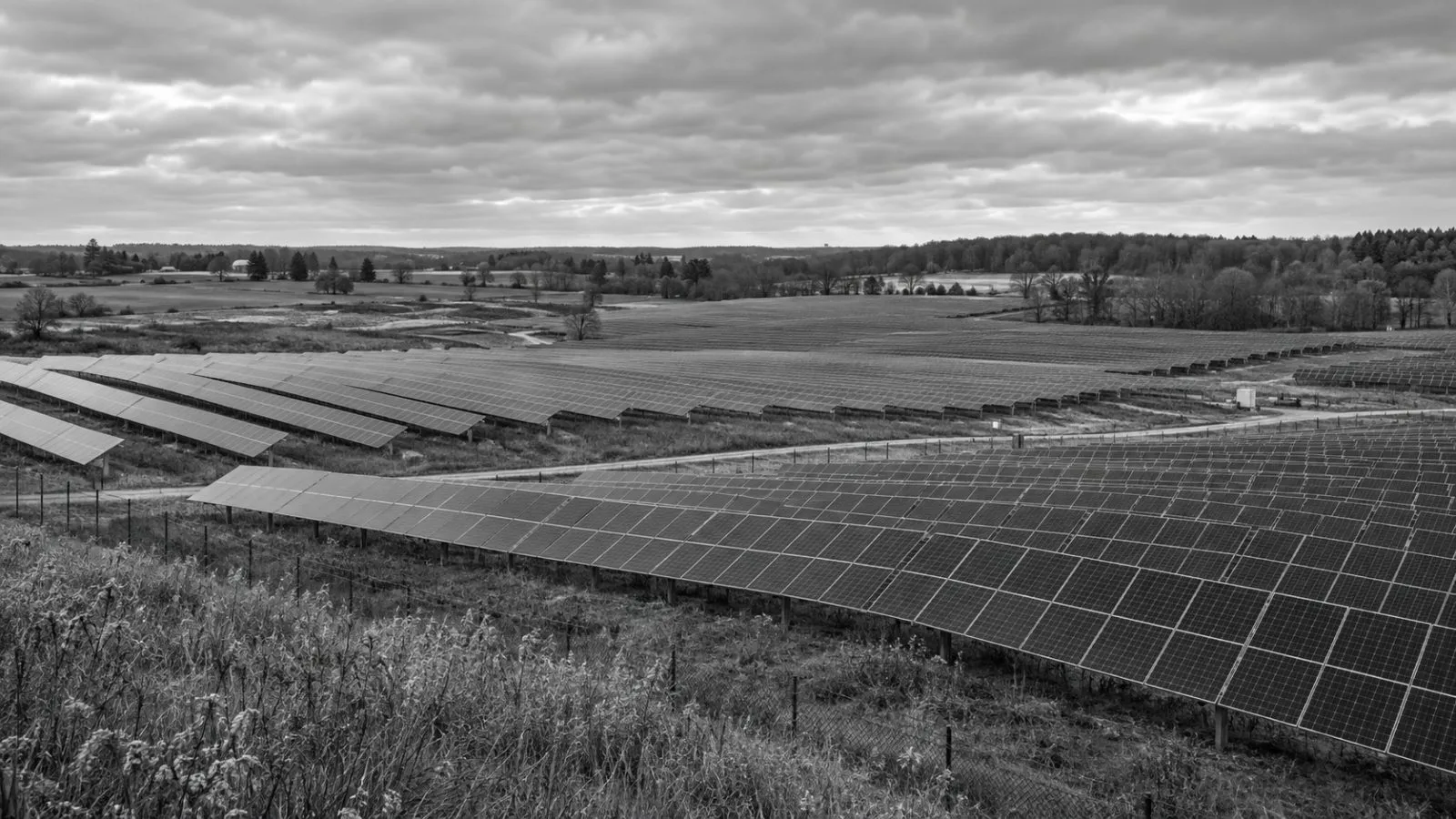 Solar panels stretch across the Fish Creek Solar Park near Sheridan, Michigan. (AI-generated image / EconoTimes)