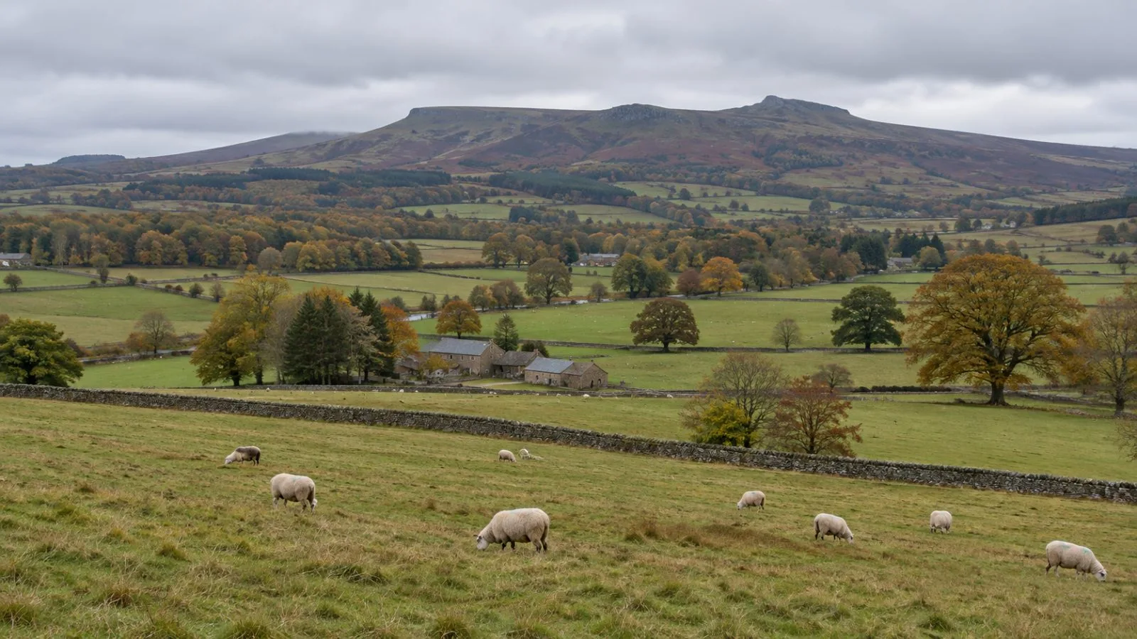 Sheep graze below the Simonside Hills on Rothbury Estate in Northumberland, England / EconoTimes.ai