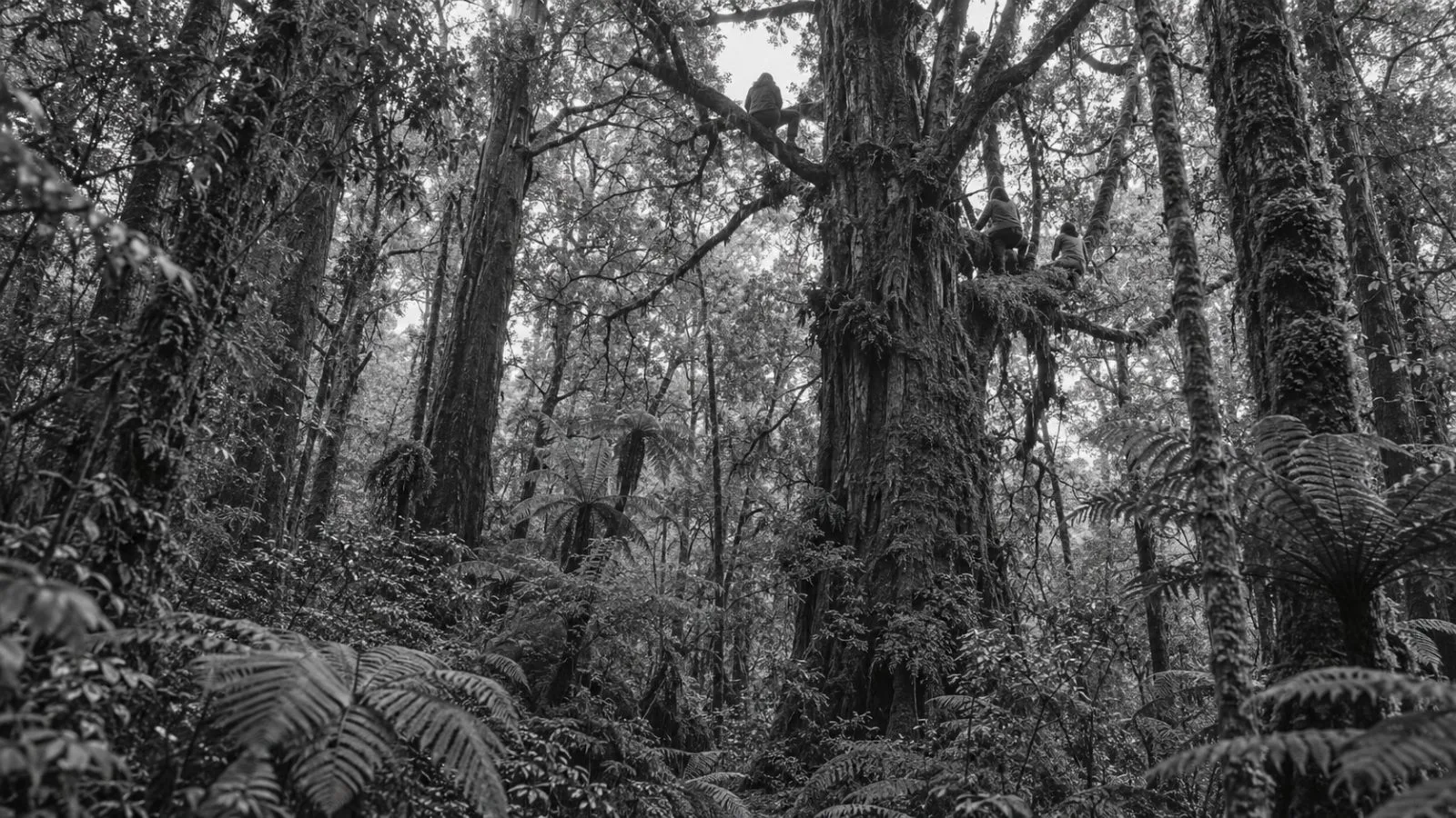 Anonymous protesters occupy a native tree canopy during a forest protest in Pureora, New Zealand. (AI-generated image / EconoTimes)
