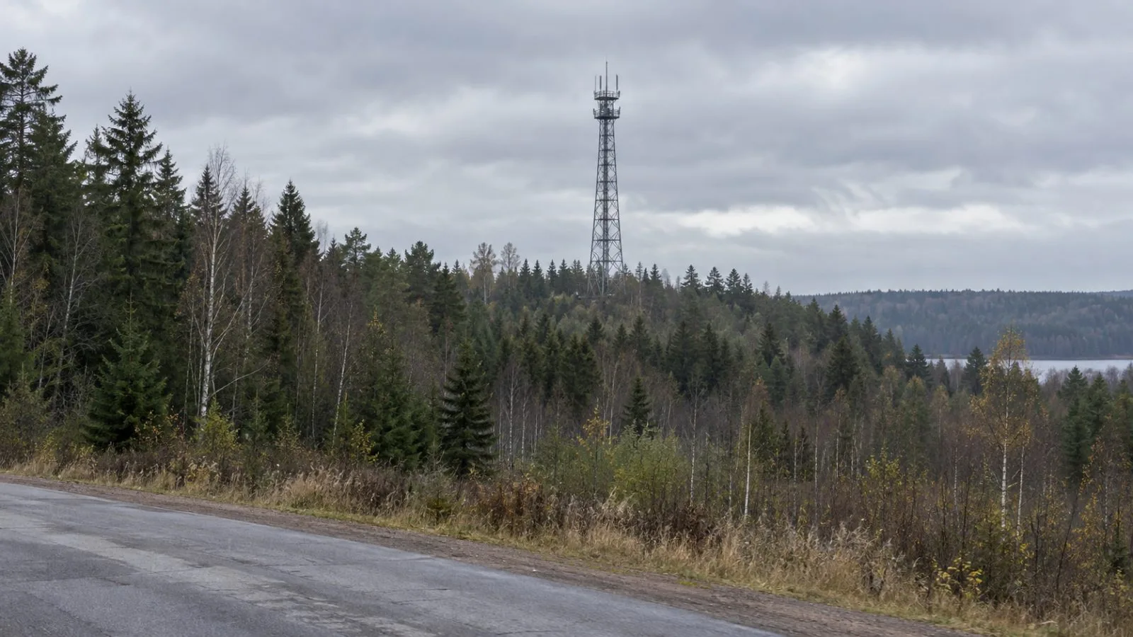 A lattice tower stands at a forest edge near Valdai, Novgorod Oblast, Russia (AI-generated image / EconoTimes)