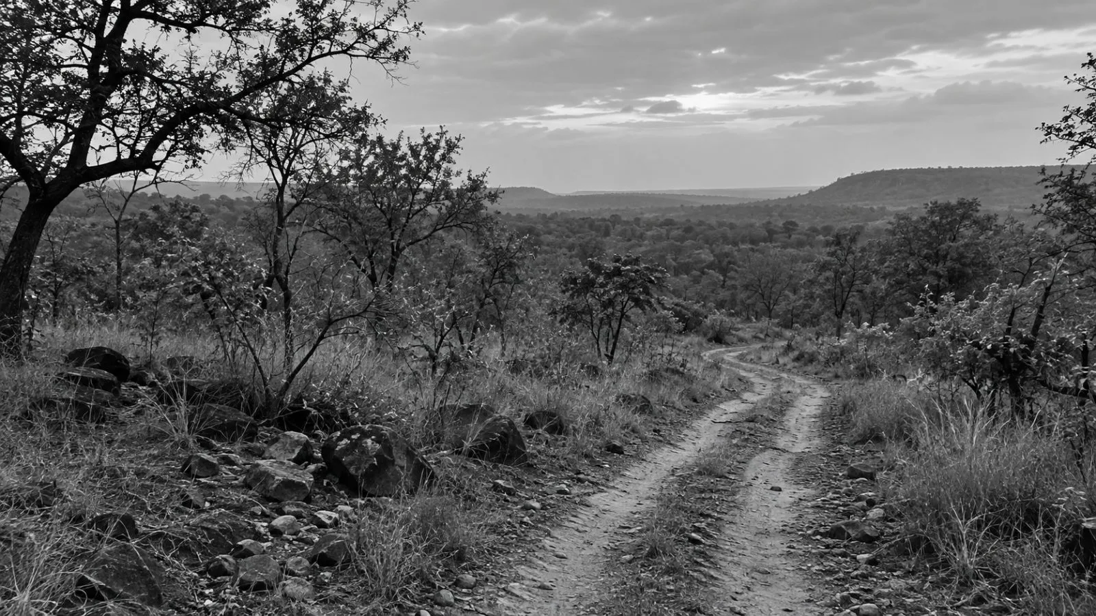 Scrub woodland borders a dirt track in Morena district, Madhya Pradesh. (AI-generated image / EconoTimes)