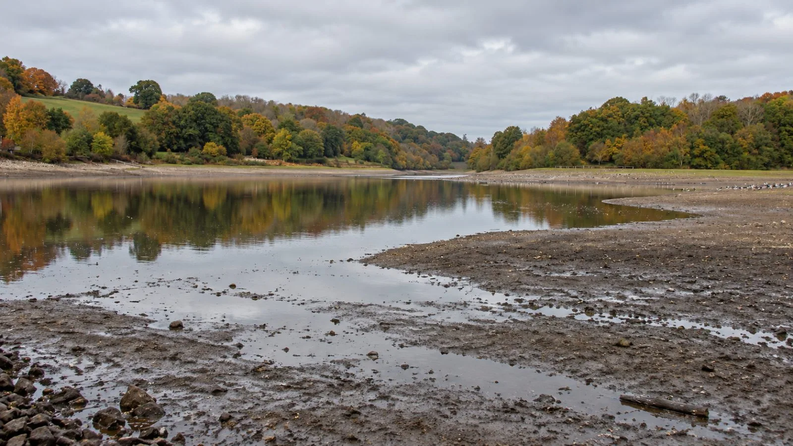 Low water exposes a muddy shoreline at Ardingly Reservoir in West Sussex, England. / EconoTimes.ai