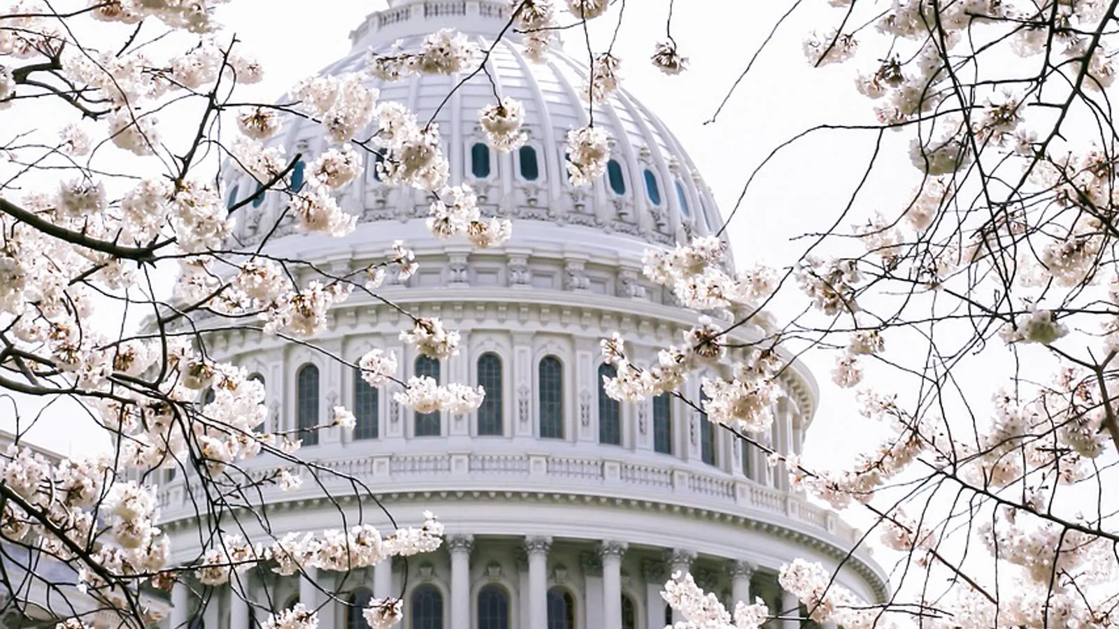 US Capitol, Washington. (Pixabay)