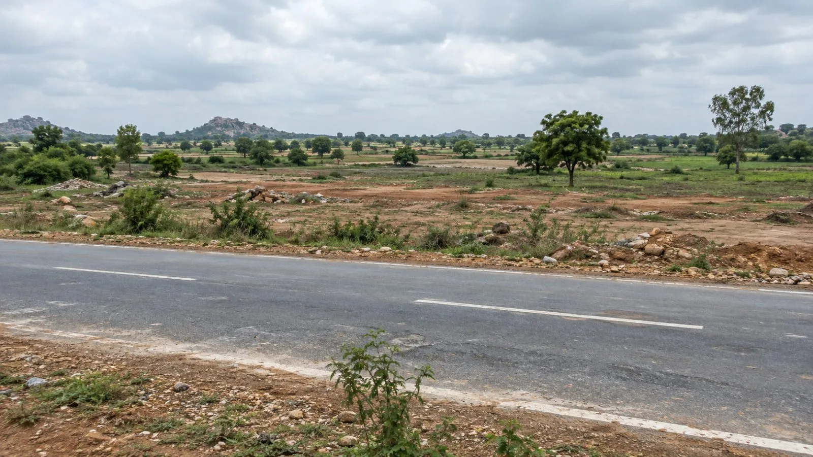 Roadside land at Raghunadhapalem, Telangana, near the planned paint plant site. (AI-generated image / EconoTimes)