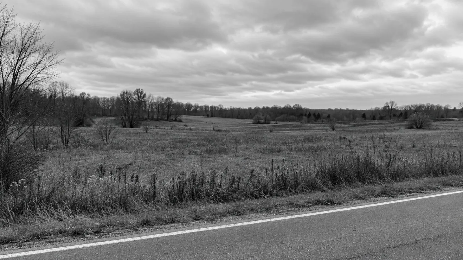 Undeveloped farmland stretches near a proposed data center site outside Mt. Orab, Ohio. (AI-generated image / EconoTimes)