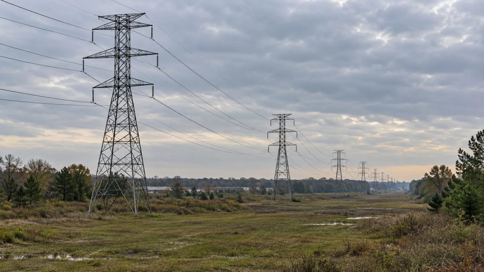 High-voltage transmission lines cross a utility corridor near Shreveport, Louisiana. (AI-generated image / EconoTimes)