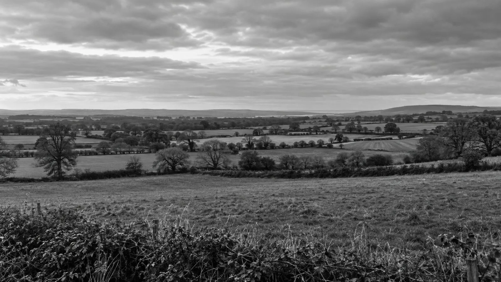 Open farmland marks the proposed site of a solar project near Frodsham, Cheshire. (AI-generated image / EconoTimes)