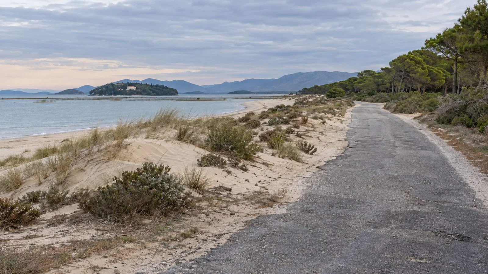 An access road passes dunes and forest near Zvërnec in Albania's Vjosa-Narta landscape. (AI-generated image / EconoTimes)