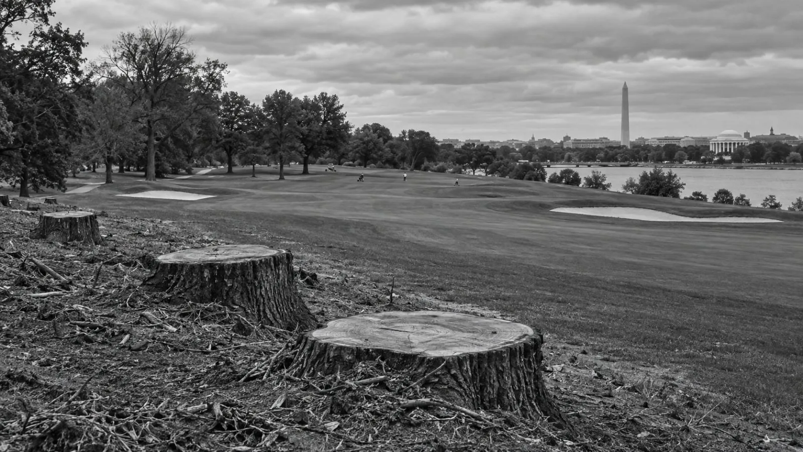 Tree stumps border a fairway at East Potomac Golf Links in Washington. (AI-generated image / EconoTimes)