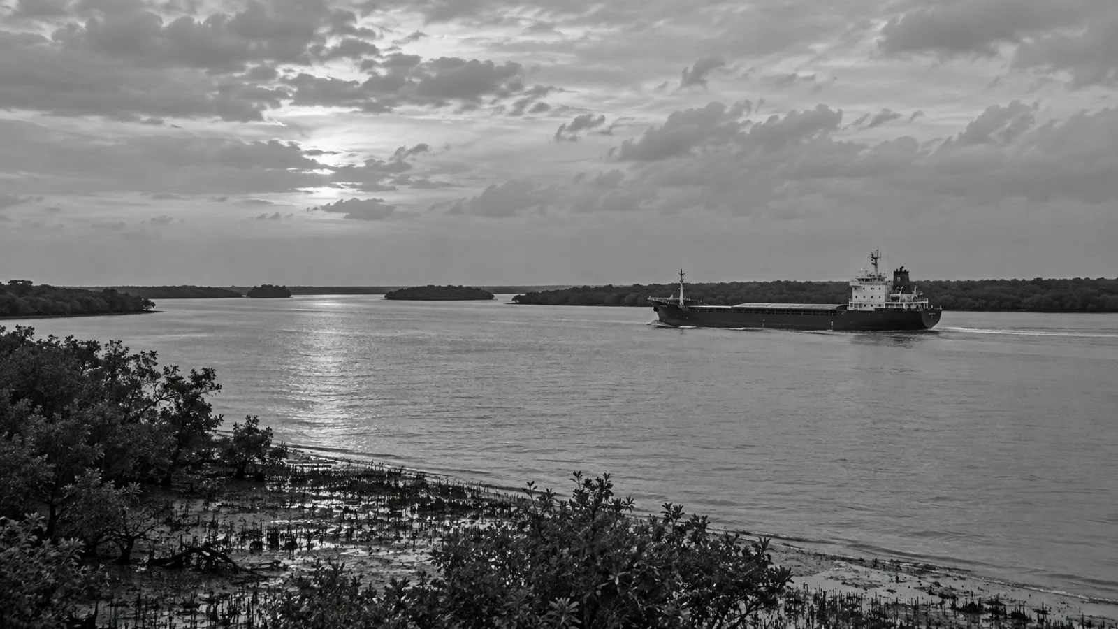 A cargo vessel passes Can Gio’s proposed port site near Ho Chi Minh City, Vietnam. (AI-generated image / EconoTimes)
