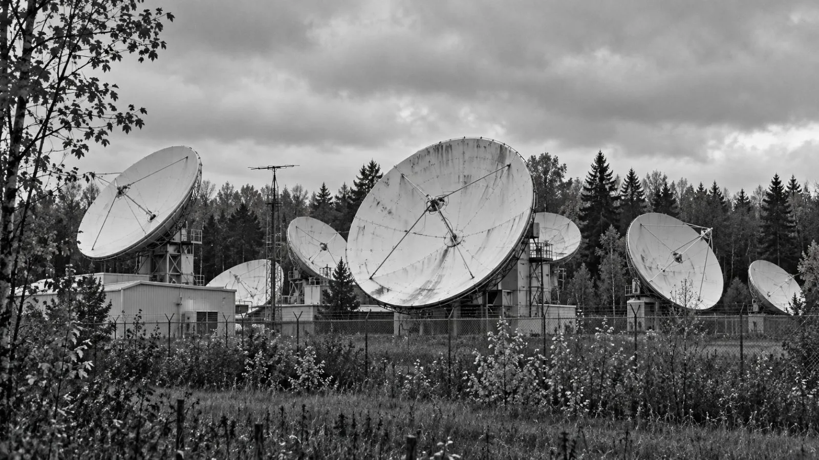 Satellite dishes stand at Telesat’s Allan Park earth station in Ontario, Canada. / EconoTimes.ai