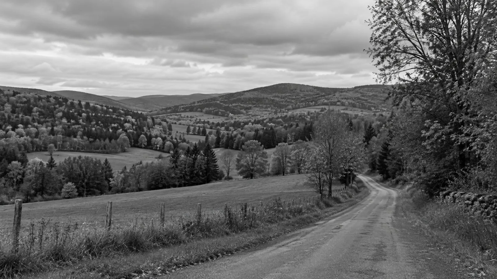 Wooded farmland borders a rural road in Schoharie County, New York. (AI-generated image / EconoTimes)