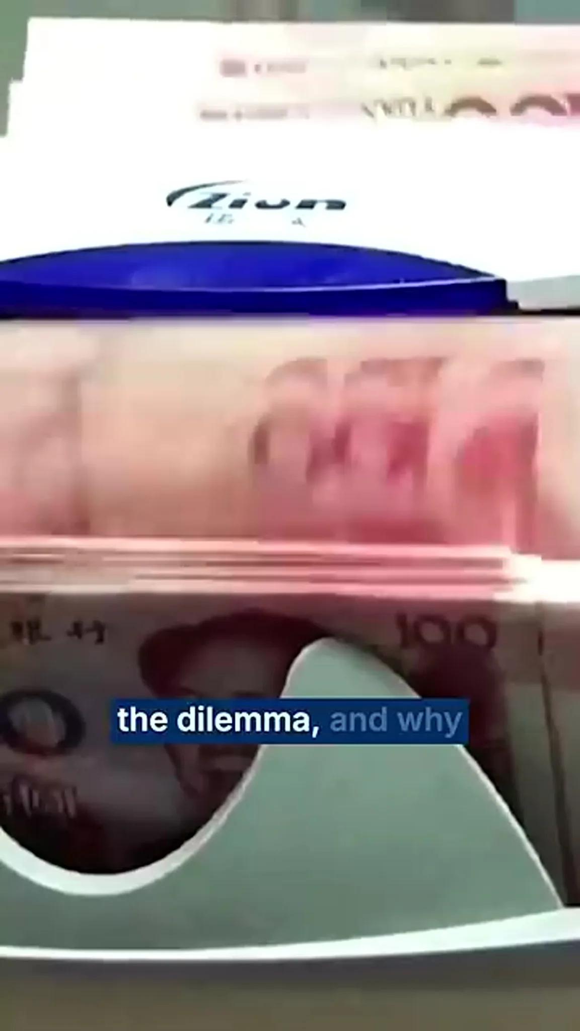 Brookings Institution broadcast. (Screen grab)