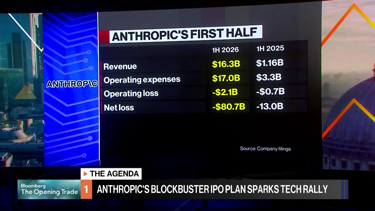 Bloomberg Television broadcast. (Screen grab)