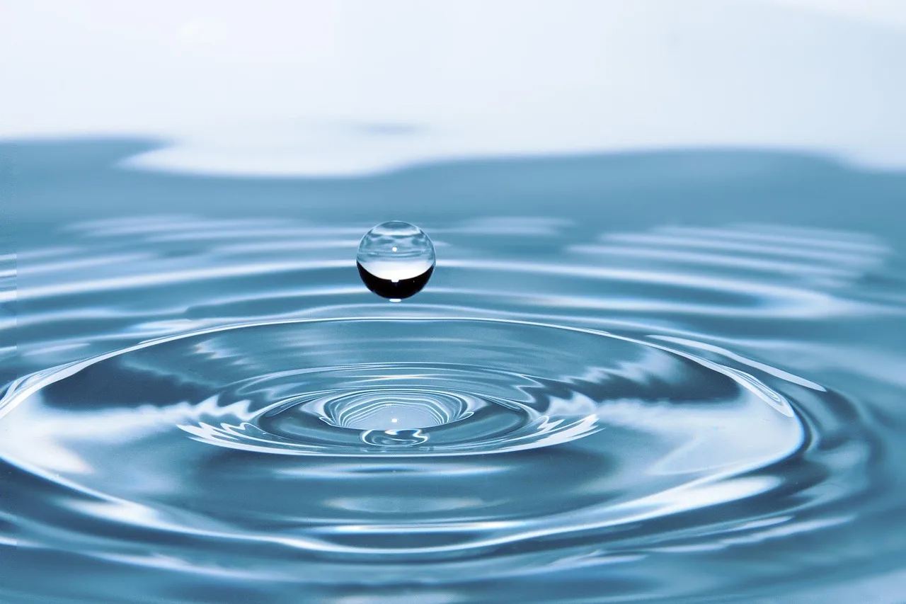 Ripple Approves XRP Ledger Sponsor Amendment as XRP Price Drops. Source: Image by rony michaud from Pixabay